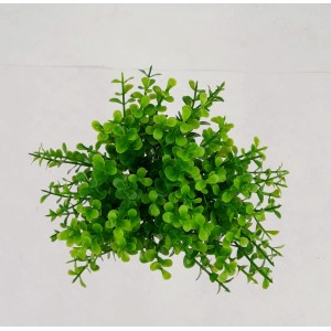 PICK C/6 GALHOS EUCALIPTO MINI