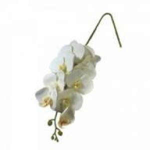 ORQUIDEA C/9 BOT?ES EM0001 SILICONE