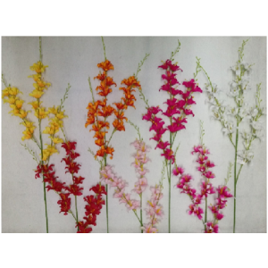 LIRIO GALHO LONGO OUTONAL