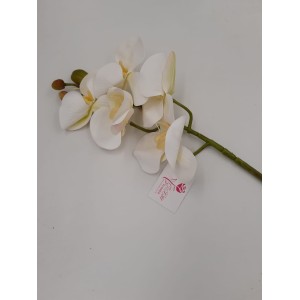 ORQUíDEA C/6 64157 SILICONE