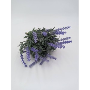 PICK PLáSTICO C/6 GALHOS CD-0038 LAVANDA