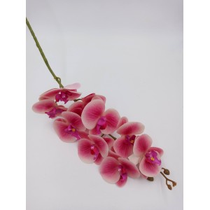 ORQUíDEA C/9 BOT?ES SY01447 SILICONE