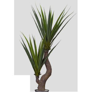 ÁRVORE  PANDANUS 160CM