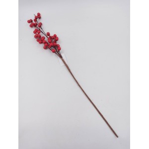 HASTE  NATALINA AZENDINHO