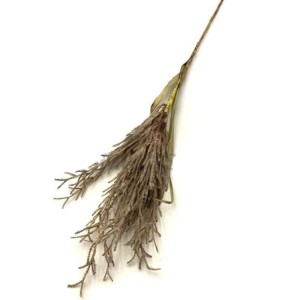 HASTE DE CAPIM DOS PAMPAS 100CM