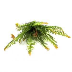 FOLHAGEM SY18020 SAMAMBAIA PLáST. 50CM