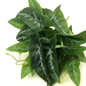 FOLHAGEM CALATHEA DI0318 ANTURIO 20CM