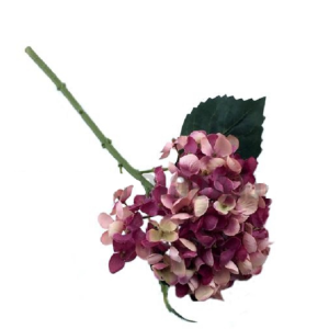 MINI HORTENCIA UNITARIA  DUAS CORES