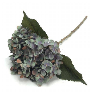 HORTÊNCIA C/1 AD0063 OUTONAL