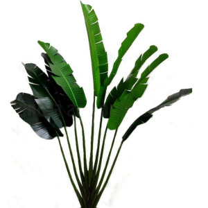 ÁRVORE  RAVENALA PREMIUM