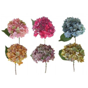 HORTENCIA C/1 EO-0014 UNITÁRIA