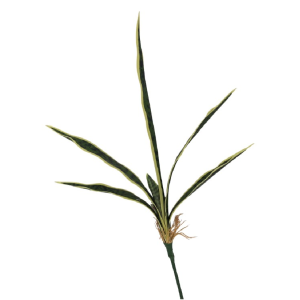 ESPADA DE SÃO JORGE 0371-13 MESCLADA