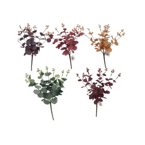 EUCALIPTO C/9 GALHOS 00585 COLOR