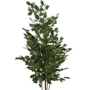ÁRVORE 0371-11 FICUS 157CM