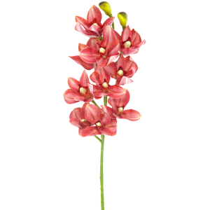 ORQUÍDEA C/10 BOTÕES COD2365 CYMBIDIUM