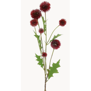 FLOR DE SOMPRO COD2190 CARDO ASNEIRO 59CM