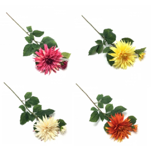 DALIA GIGANTE C/01 BOTÃO