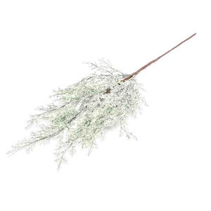 HASTE  NATALINA PINHEIRO NEVADA