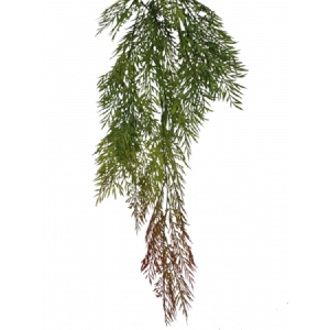 PENDENTE E/0702 ALECRIM 81CM