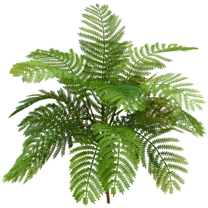 FOLHAGEM C/7 GALHOS COD2425 SAMAMBAIA