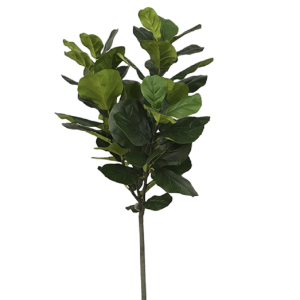 ÁRVORE 0371-50 FICUS LYRATA