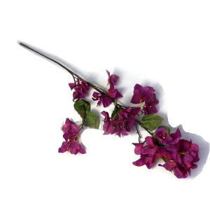 GALHO BOUGAINVILLE PEQUENA