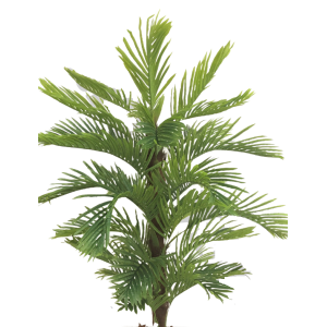 ÁRVORE  PALMEIRA GIGANTE