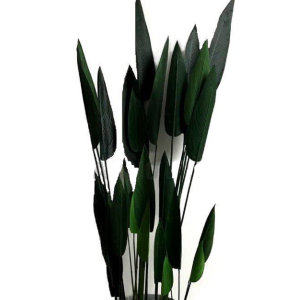 ÁRVORE LD0164 STRELITZIA