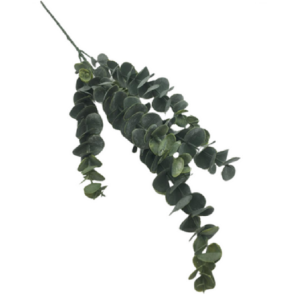 FOLHAGEM  EUCALIPTO LUXO