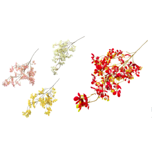 GALHO MACIEIRA PREMIUM