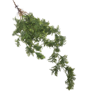 PENDENTE SAMAMBAIA SELVAGEM TOQUE REAL