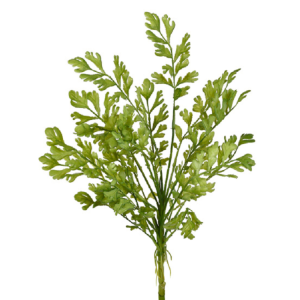 FOLHAGEM EM FOLHAS VERDE