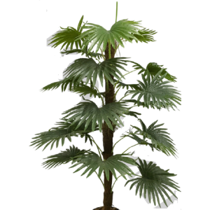 ÁRVORE PALMEIRA LEQUE C/20 FOLHAS