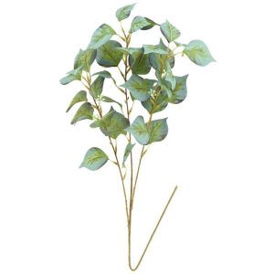 GALHO FOLHAGEM COD2641 BOUGANVILLE X3