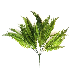 FOLHAGEM DE SAMAMBAIA COM 7