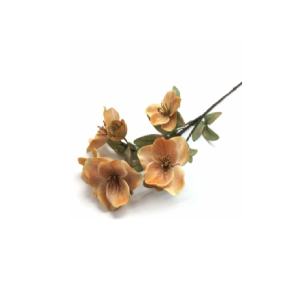 GALHO DE MAGNOLIA  COM 5