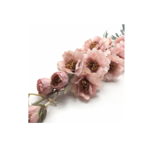 GALHO DE CAMELIA OUTONADA  C/ 12