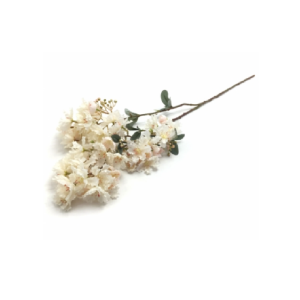 GALHO DE CEREJEIRA COM 5 GALHOS