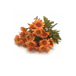 MARGARIDA ENVELHECIDA COM 6 GALHOS