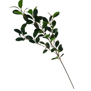 HASTE DE FICUS ELASTICA